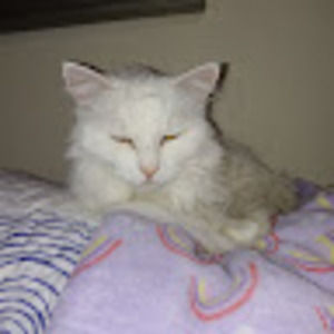 Meet your Posher, Patricia